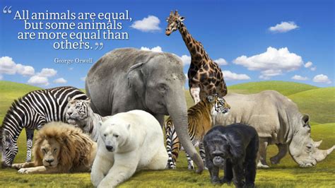 Equality Quotes Hd Wallpapers 14258 Baltana