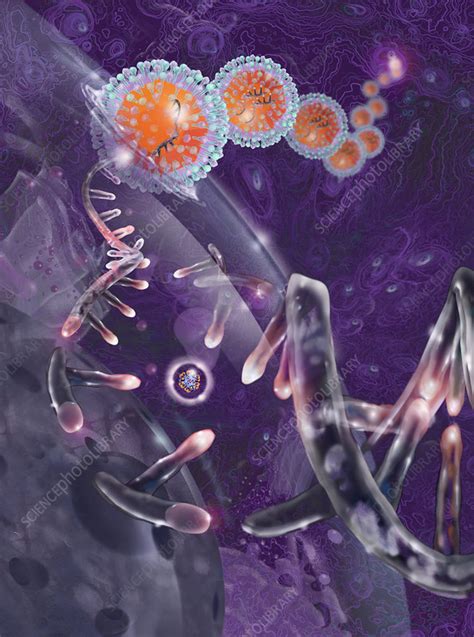 Dna With Virus Stock Image C0029881 Science Photo Library