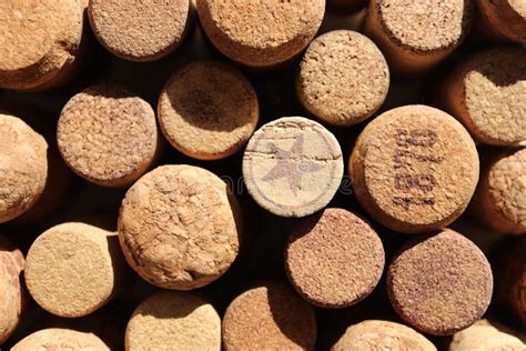 Cork Bottle Bungs Stock Image Image Of Background Texture 210218373