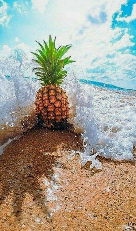 Pineapple On The Beach Summer Time By Bonninstudio Artofit