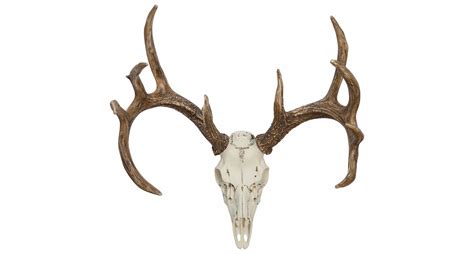 Whitetail Deer European Mounts Cast Horn Designs