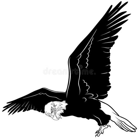 Flying Bald Eagle Stock Vector Illustration Of Eagle 100944395