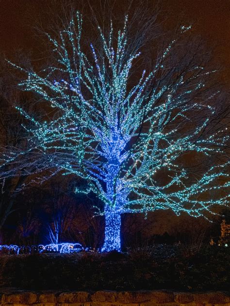 2023 The Ultimate Guide To Newfields Winterlights Indianapolis