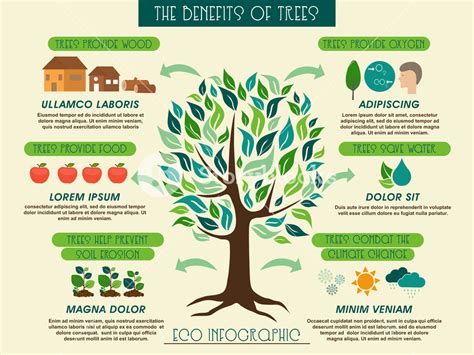 Creative Ecology Infographic Layout With Illustration Of A Green Tree