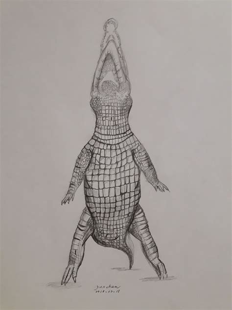 Crocodile Sketch Art Sketch Drawing Art Background Crocodiles