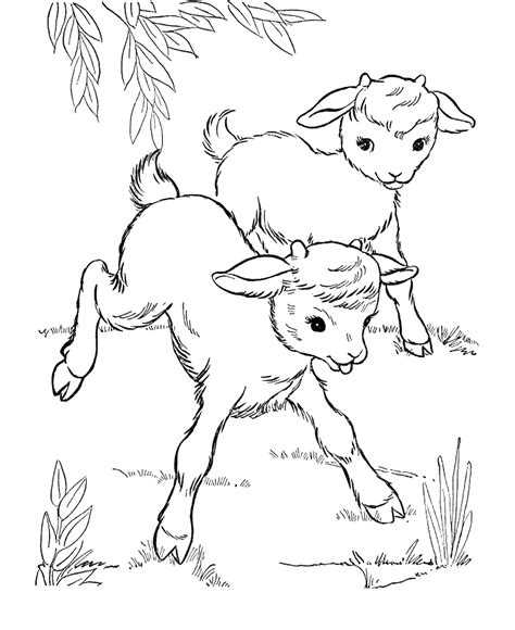 You'll have fun ramming into these color sheets. Goat Coloring Pages