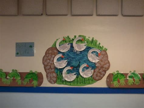Pond Life Bulletin Board Paper Plate Swans And Frogs Bulletin Board
