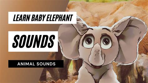 Learn Elephant Baby Sounds Baby Elephant Sound Effect Youtube