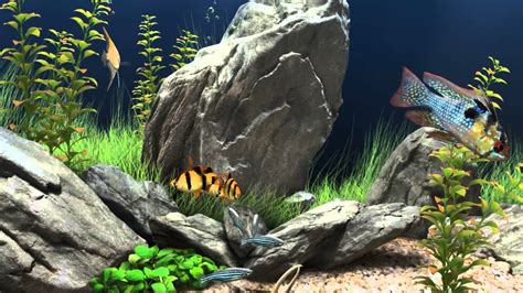 3d Fish Tank Aquarium Youtube
