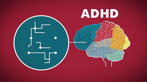 Adhd And Medication