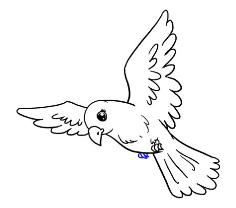 The step by step bird drawing instruction here is easy to follow so that you will not find any difficulties to learn this art drawing tutorials will give you how to draw birds step by step for free. How to Draw a Bird | Easy Step-by-Step Drawing Guides