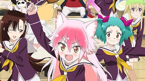 New Cute Animal Anime Murenase Seton Gakuen Animal Academy Trailer