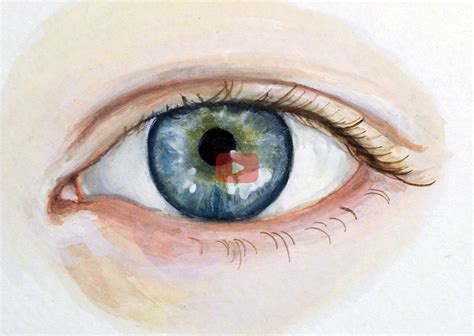Realistic Eye Painting Augenmalerei Augenzeichnungen Aquarell Gesicht