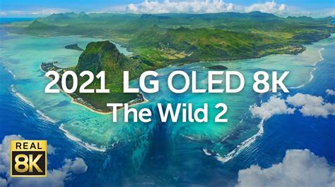 2021 Oled 8k The Wild2 8k Hdr 60fps Youtube