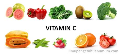 Jenis Jenis Buah Buahan Vitamin C Gambar Buahku