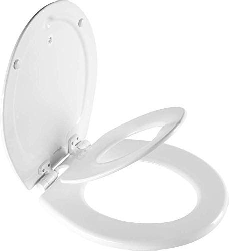 10 Best Toilet Training Seat For 2024 Storables