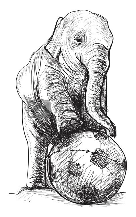 Baby Elephant Playing Football Sketch And Free Hand Draw Illust By