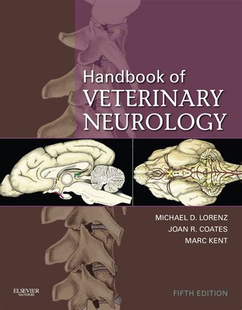 Handbook Of Veterinary Neurology 5th Edition Pdf Pdflibrary