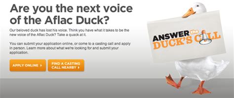 The car insurance review a.m. Are You the Next Aflac Duck? | HuffPost