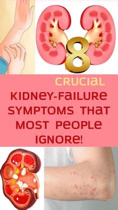 The paired kidneys are located between the twelfth thoracic and third lumbar vertebrae, one on each side of the vertebral column. Are The Kidneys Located Inside Of The Rib Cage : Kidney Care - How to keep your kidneys healthy ...