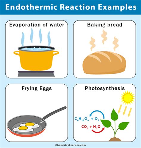 Endothermic And Exothermic Reactions Examples