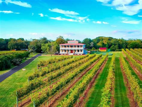 Willow Creek Winery Cape May All You Need To Know Before You Go