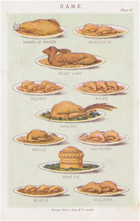 Food And Cookery Dishes Of Food Spices Victorian Prints