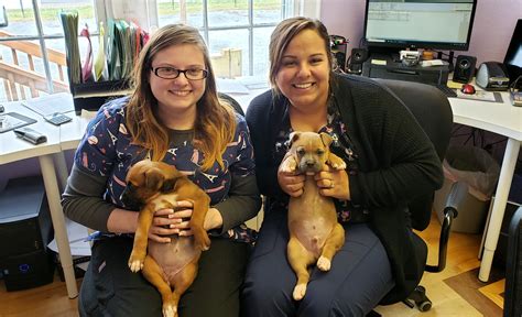 Appointments Humane Society Of Union County