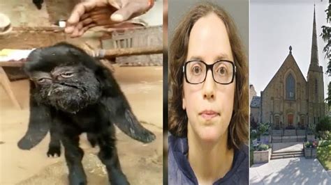 Tiny Mutant Goat With Human Face Being Worshipped As An Avatar Of God Today News Youtube