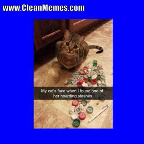 Hoping to come out with another cat meme video. Cat Memes - Page 2 - Clean Memes