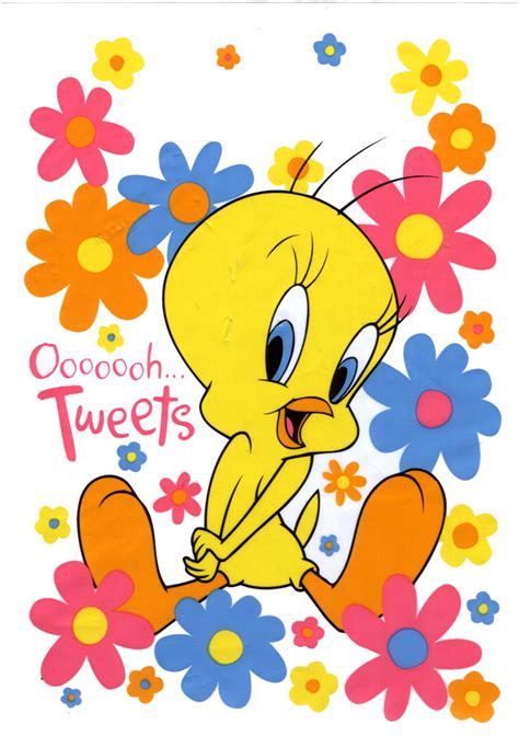 Wallpapers Of Tweety 65 Images