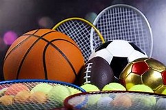 Image result for mulit sports 