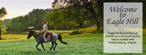 Eagle Hill Equine Rescue Horse Rescue Fredericksburg Virginia