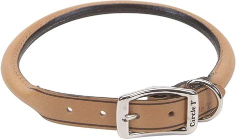 Best Leather Dog Collars Rounded Padded And Rolled Leather Collar Review