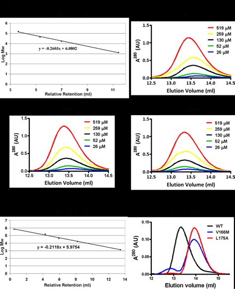 Analysis Of Pas Dimerisation By Size Exclusion Chromatography A