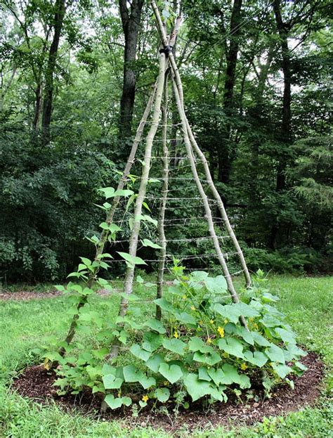 24 Easy DIY Garden Trellis Ideas Plant Structures A Piece Of
