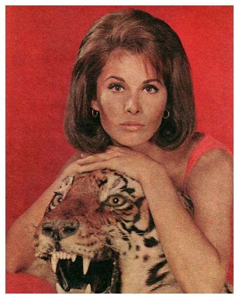 Picture Of Stefanie Powers