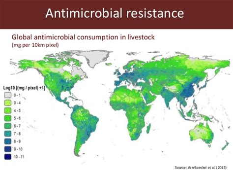 Antimicrobial Resistance And The Global Livestock Sector