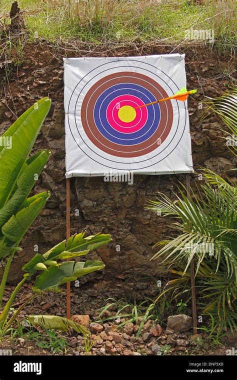 Archery Board Shooting Targets Stock Photo Alamy