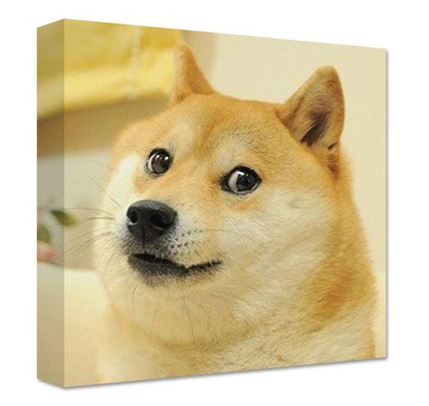Dogecoin price, market cap, charts, and other market data on cointelegraph. Doge meme Canvas | LARGE WALL ART | dog internet such wow home decoration print | eBay