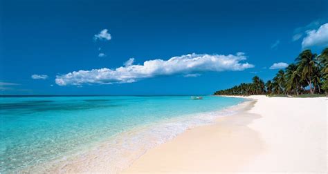 Dominican Republic Holidays 20232024 Packages Blue Bay Travel