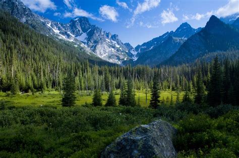 Complete List Of American National Forests