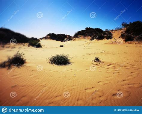 Desert Landscape Of The Canaries Stock Image Image Of Dunes Beach