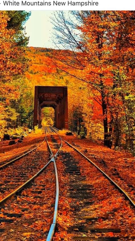 Pin By Vicki Bt On I Love Trains Autumn Scenery Autumn Landscape