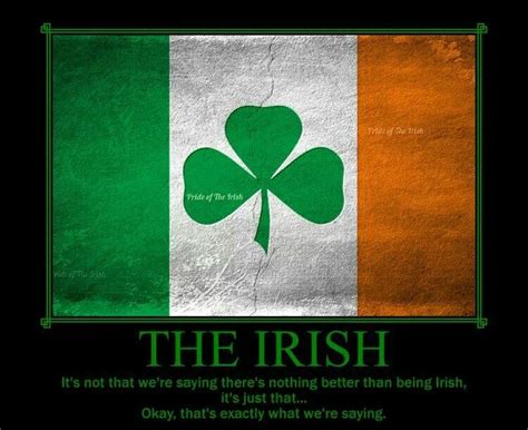 Irish Pride Quotes Quotesgram