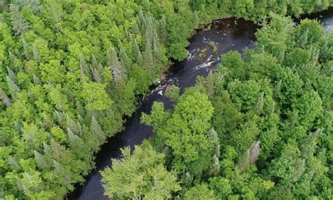 Preserving Wisconsins Iconic Northwoods Tyler Forks Community Forest
