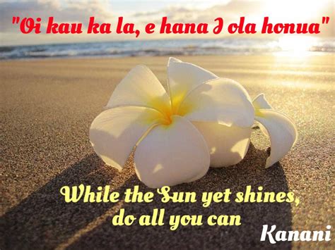 Hawaiian Proverb Hawaiian Proverbs And Sayings Pinterest Sun The