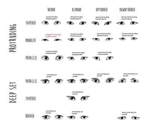 Pin By Jen Anderson On Beauty Eye Shape Chart Eye Shapes Shape Chart