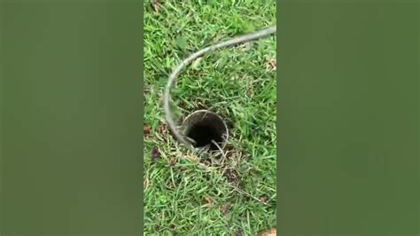 Drain Snake Jet Blast Sewer Unblocking Drain Pipe Blockeddrainmelbourne