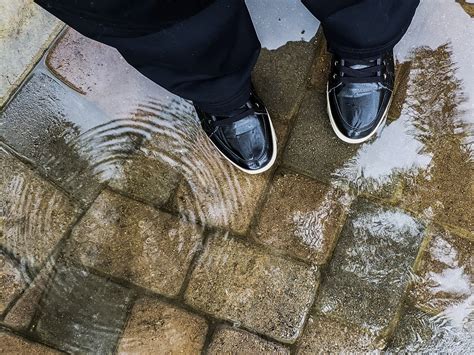 Standing In A Puddle Free Stock Photo Public Domain Pictures